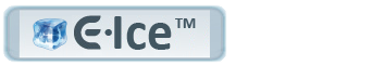 E-Ice CMS